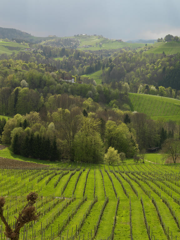 Weingut Skoff Original Hotel Gamlitz Buitenkant foto